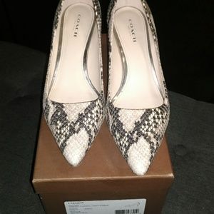 Coach Grand Classic Snake print pumps